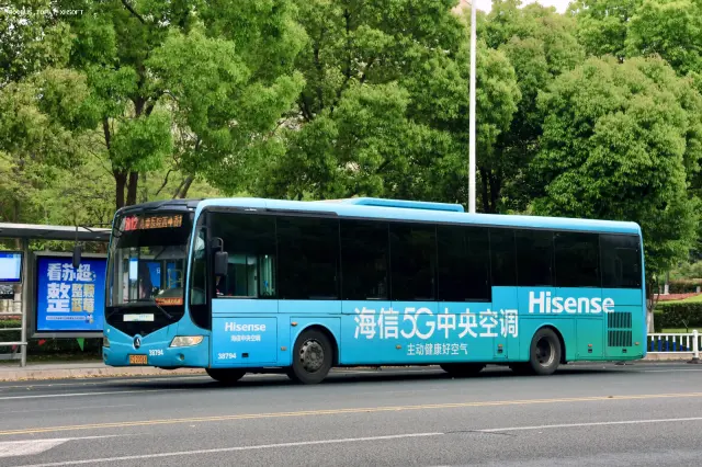 800BUS