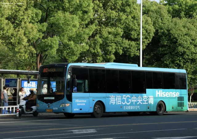 800BUS
