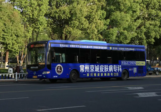 800BUS