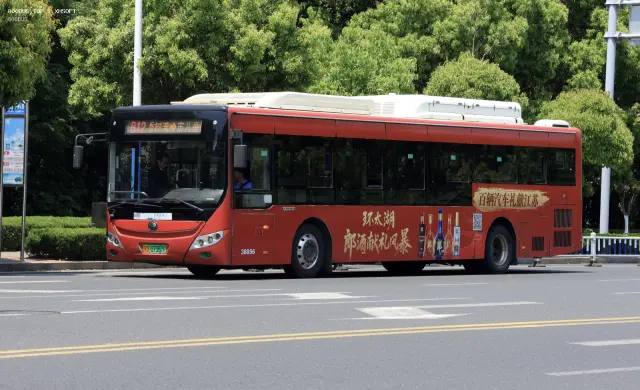 800BUS