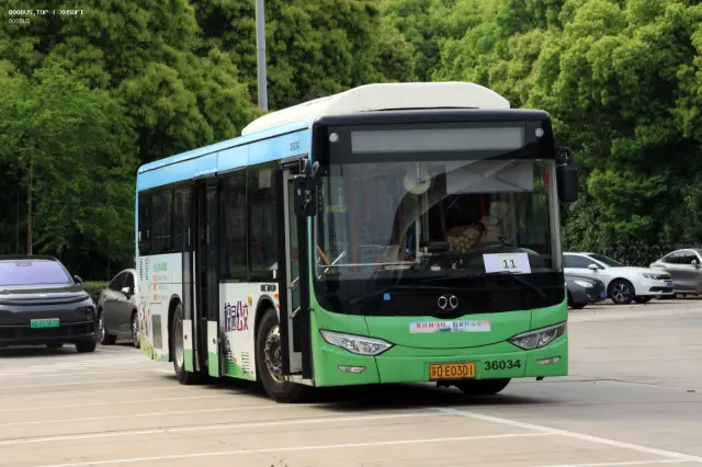 800BUS