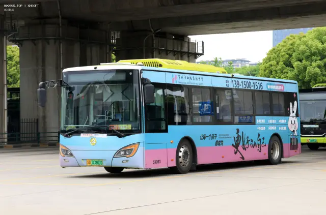 800BUS