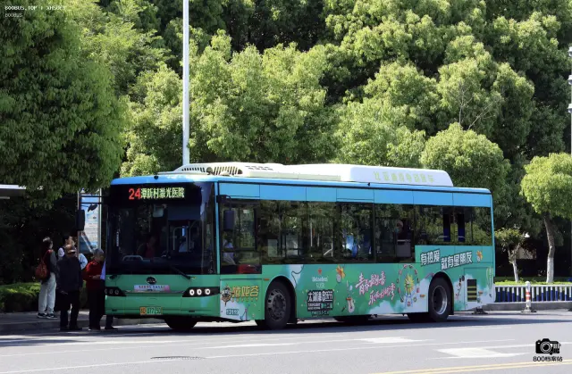 800BUS