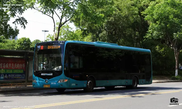 800BUS