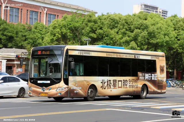 800BUS