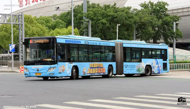 800BUS