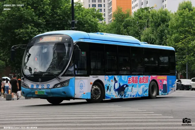 苏A 00079D