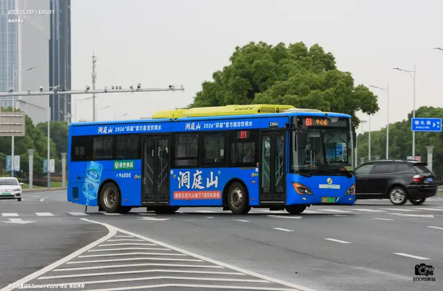 800BUS