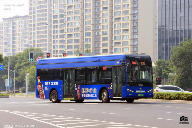 800BUS