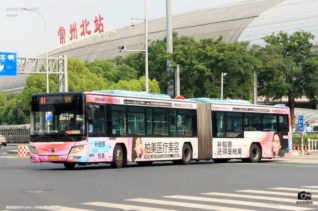 苏D 19151