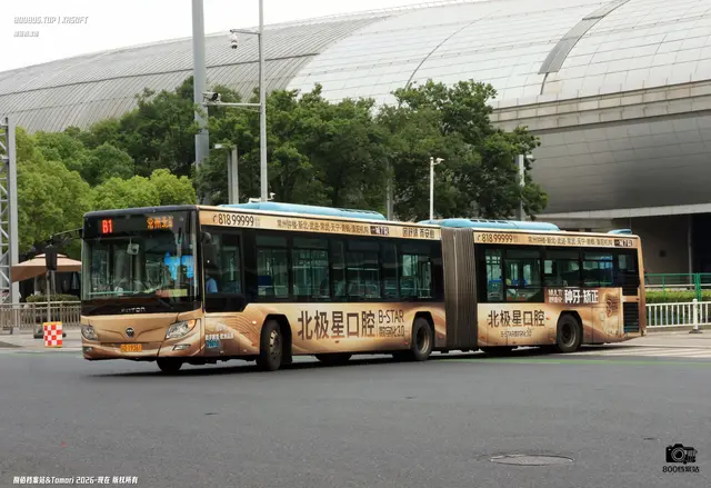 苏D 19361