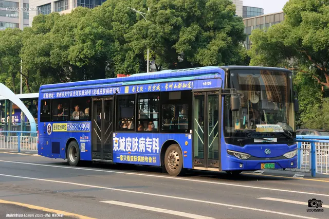 苏D 01316D