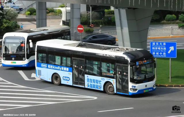 沪A 31133D