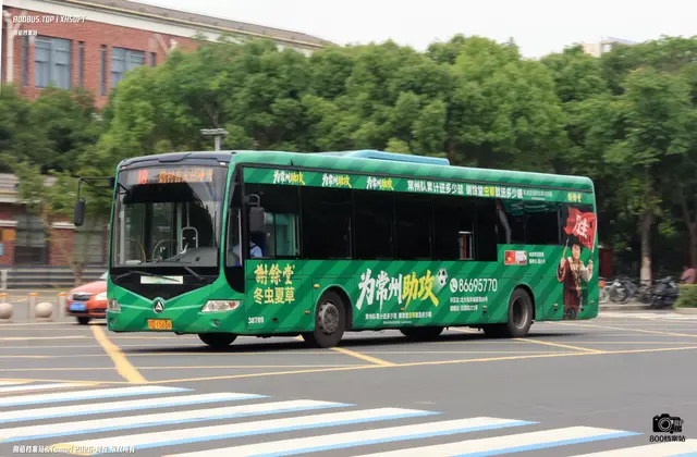 苏D 15656