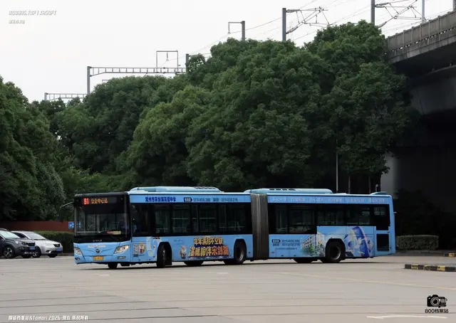 苏D 16173