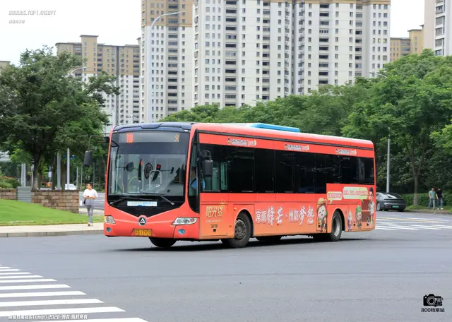 800BUS