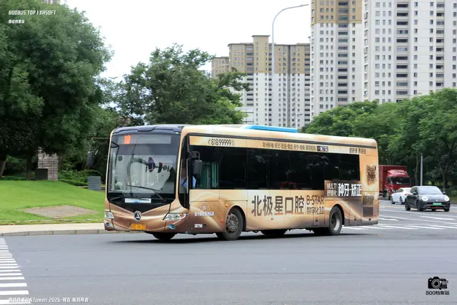 800BUS