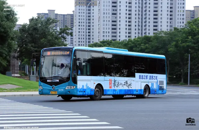 800BUS