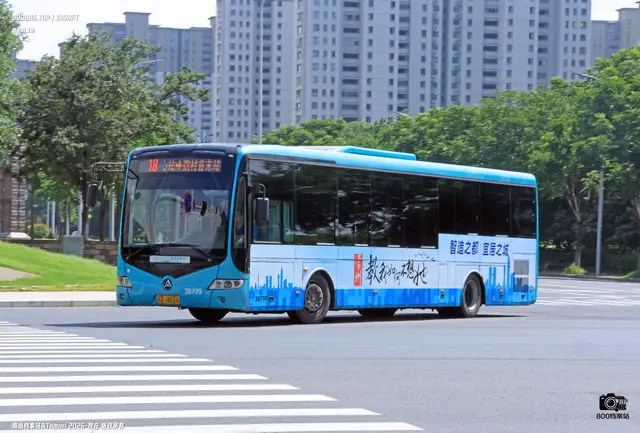 800BUS