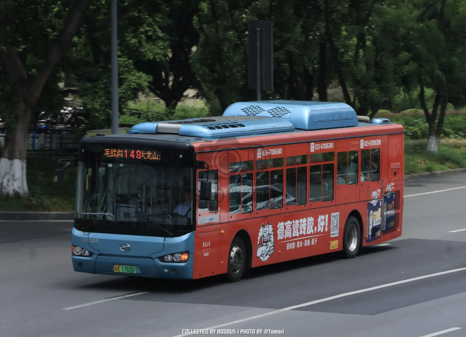 Bus Archive