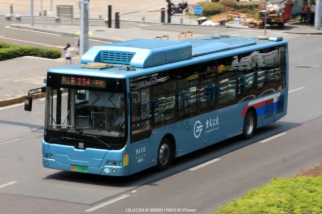 800BUS