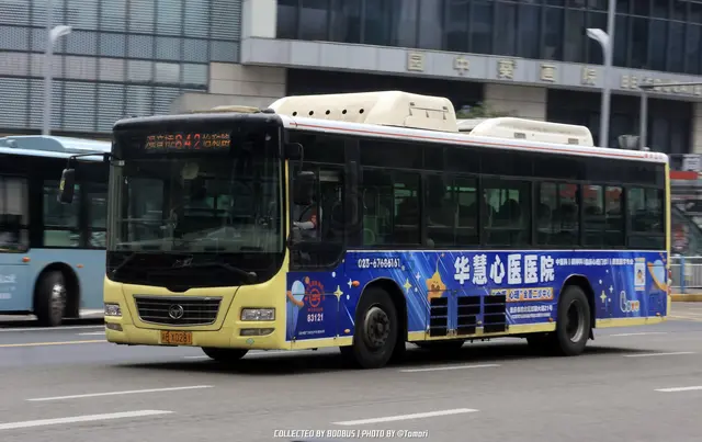 800BUS