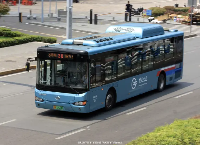 渝A 12504F