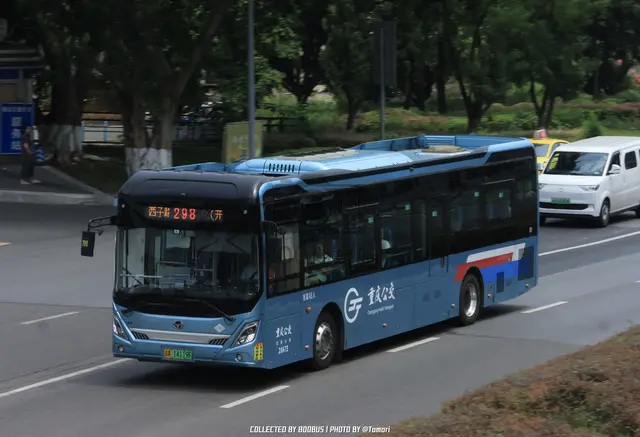 800BUS