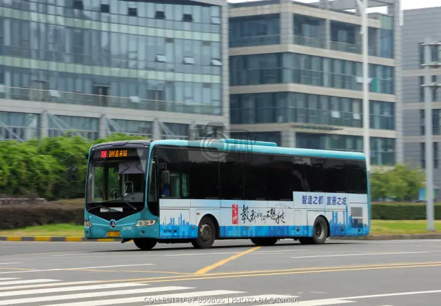 800BUS