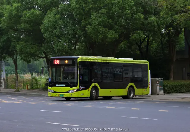 800BUS