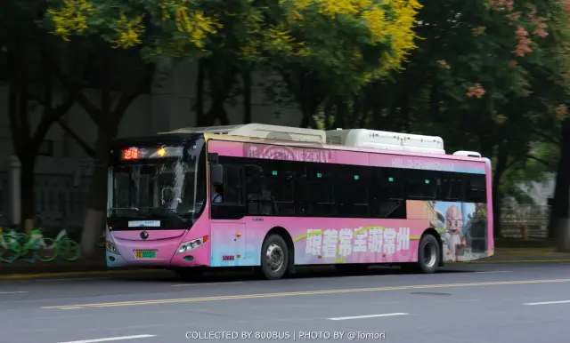 800BUS