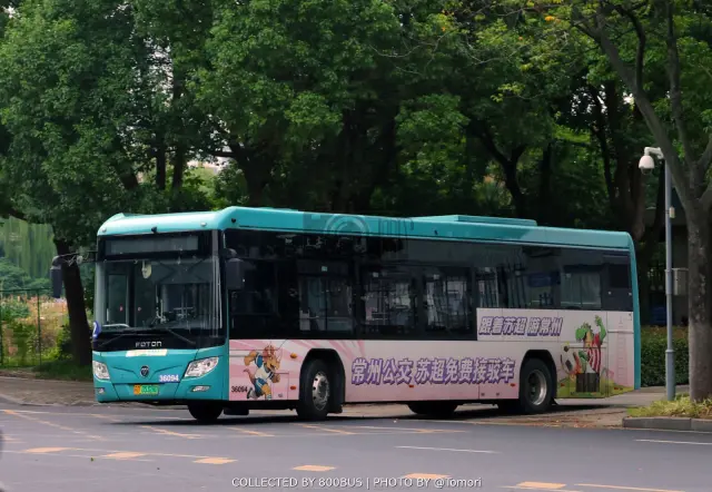 800BUS