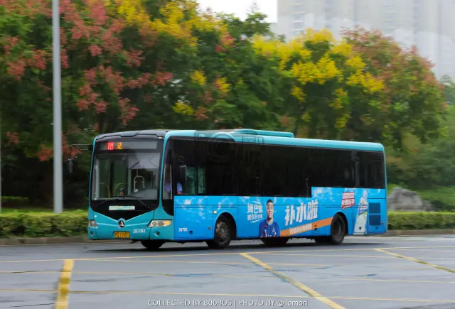 800BUS