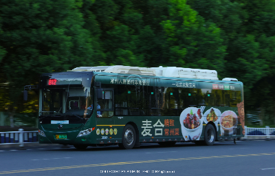 苏D 03296F
