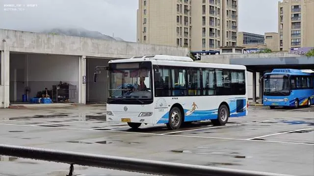 浙BF8961