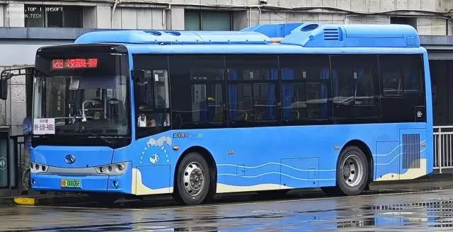 浙B00806F