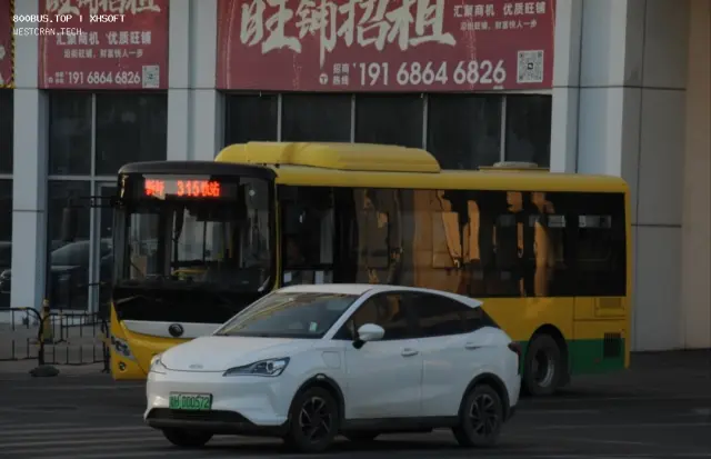 800BUS