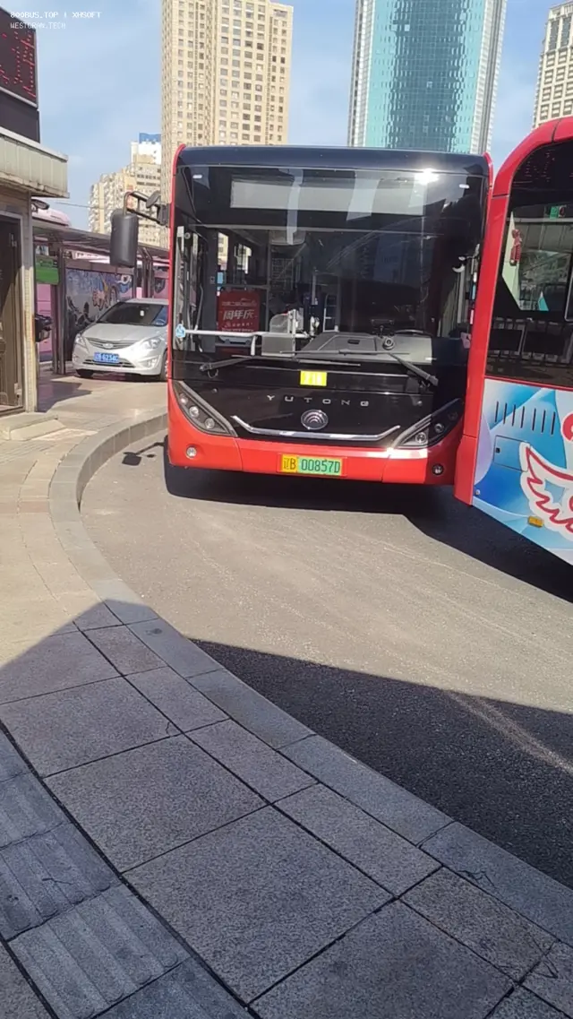 800BUS