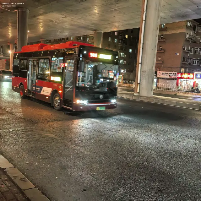 800BUS