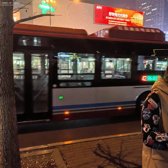 800BUS
