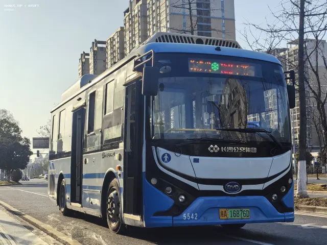 800BUS