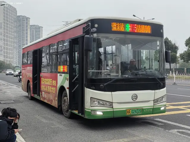 800BUS