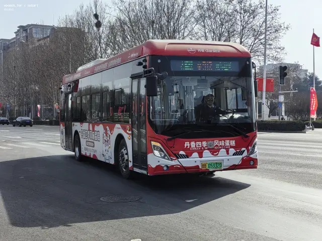 800BUS