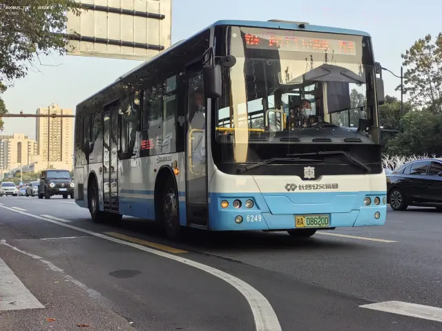 800BUS