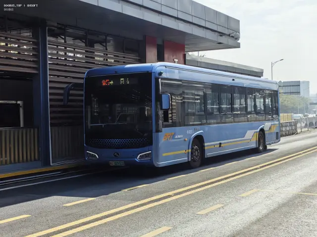 800BUS