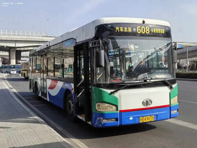 800BUS