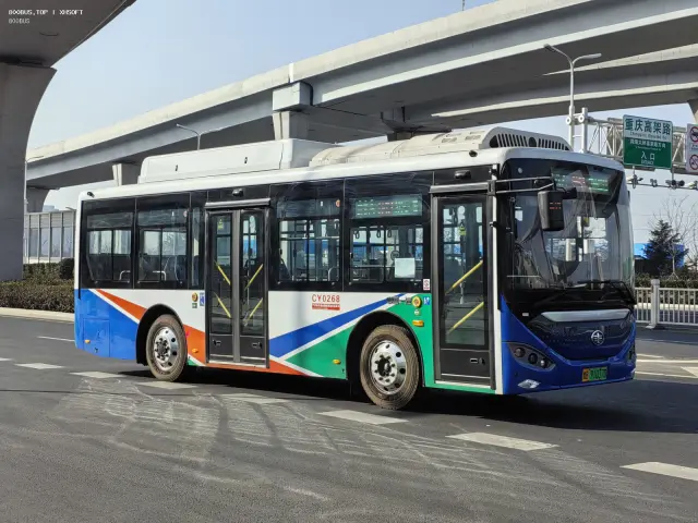 800BUS