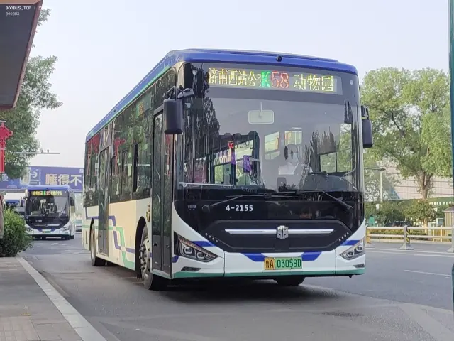 800BUS