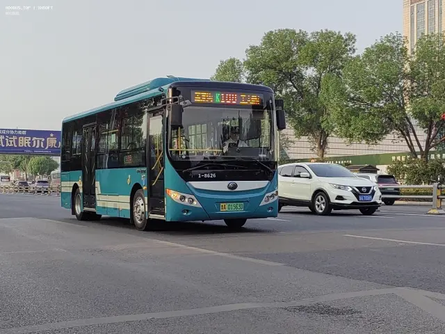 800BUS