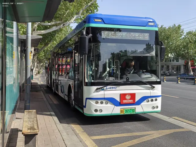 800BUS